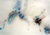 1 ère Ballade Opus 23